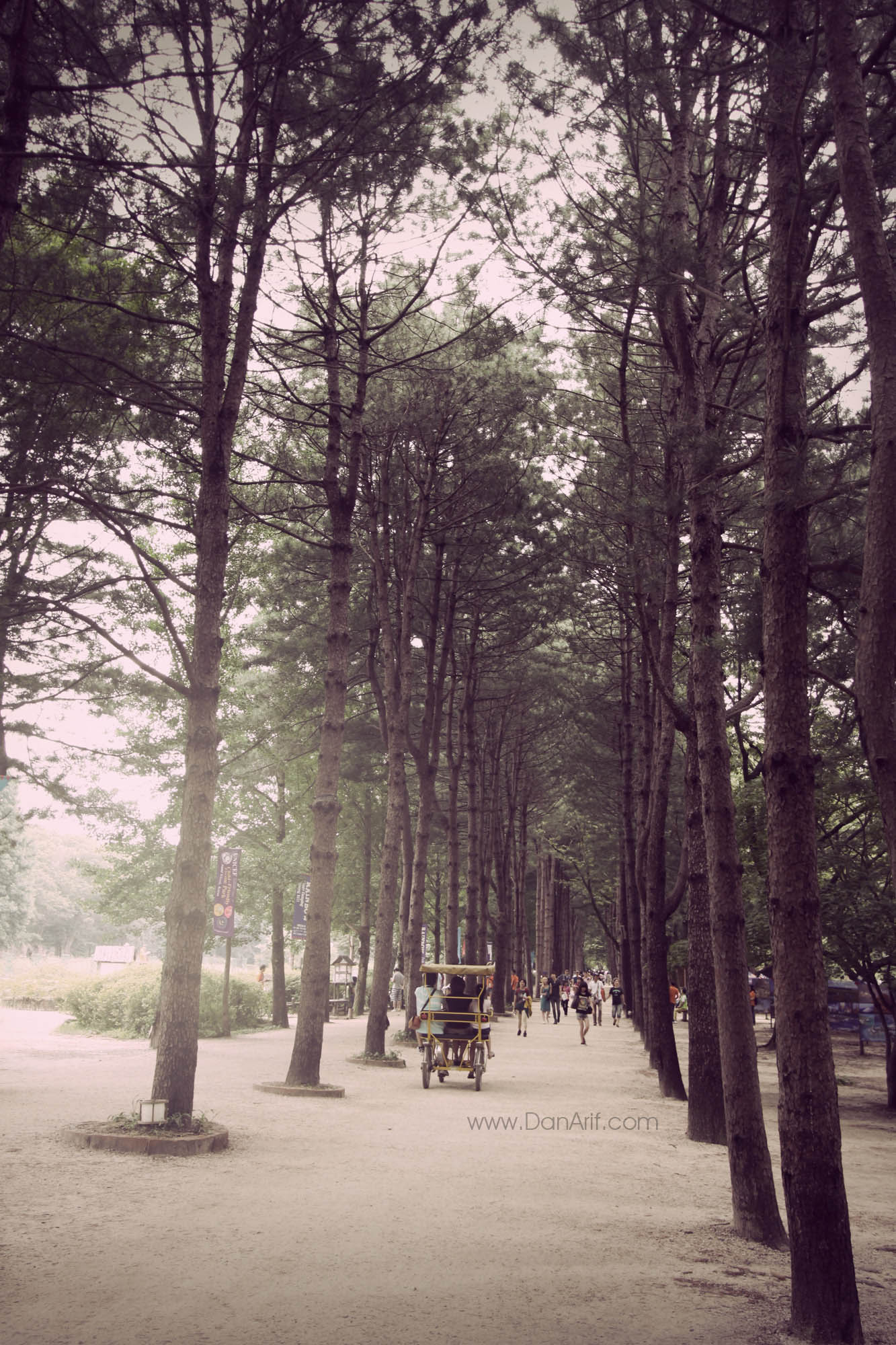 Nami Island during summer time : From Malaysia to the world boat ski harness 